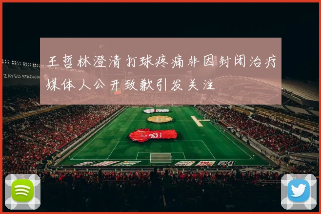 王哲林澄清打球疼痛非因封闭治疗媒体人公开致歉引发关注