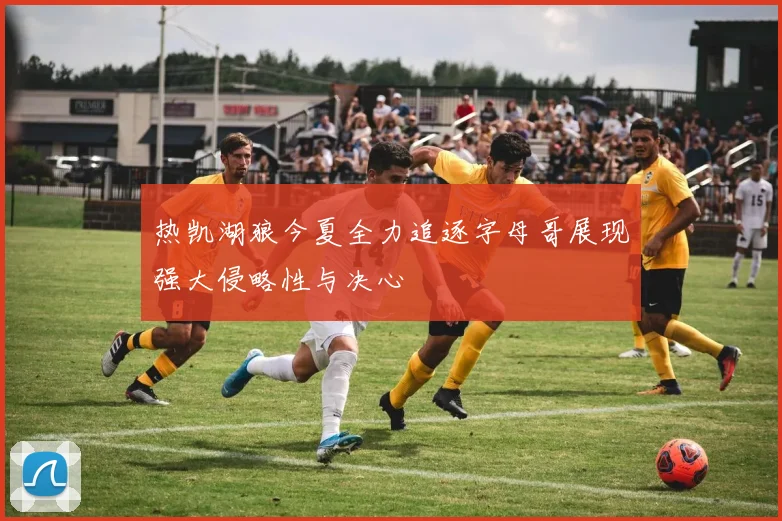 热凯湖狼今夏全力追逐字母哥展现强大侵略性与决心
